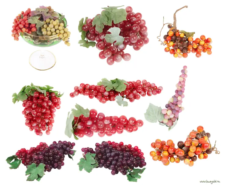 Various Bunches of Grapes