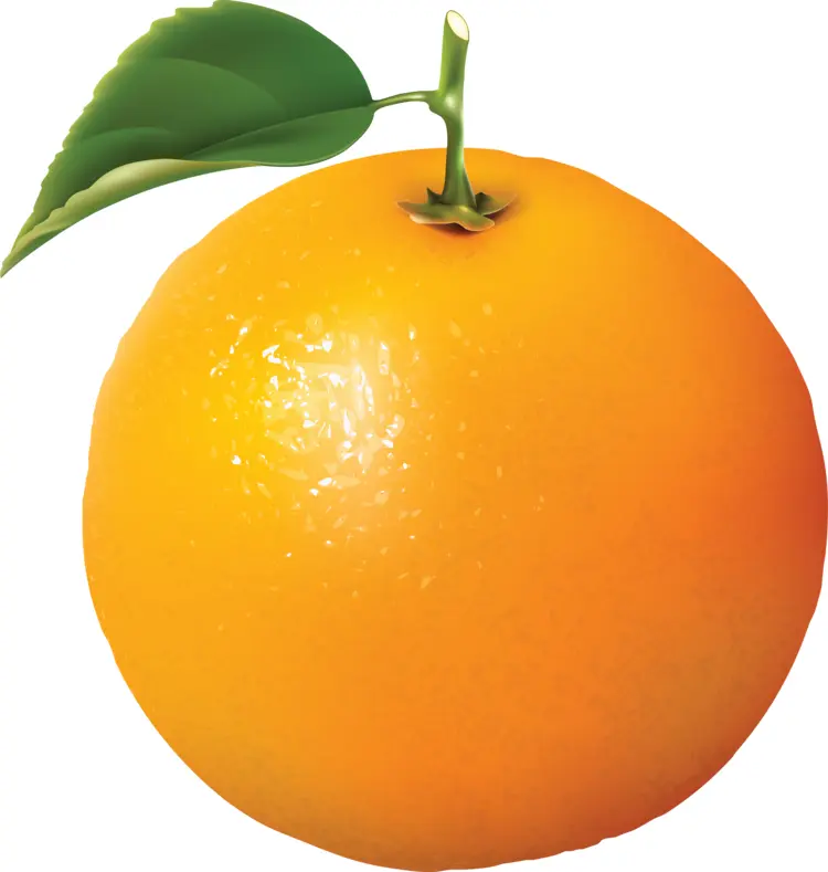 Fresh Orange with Leaf
