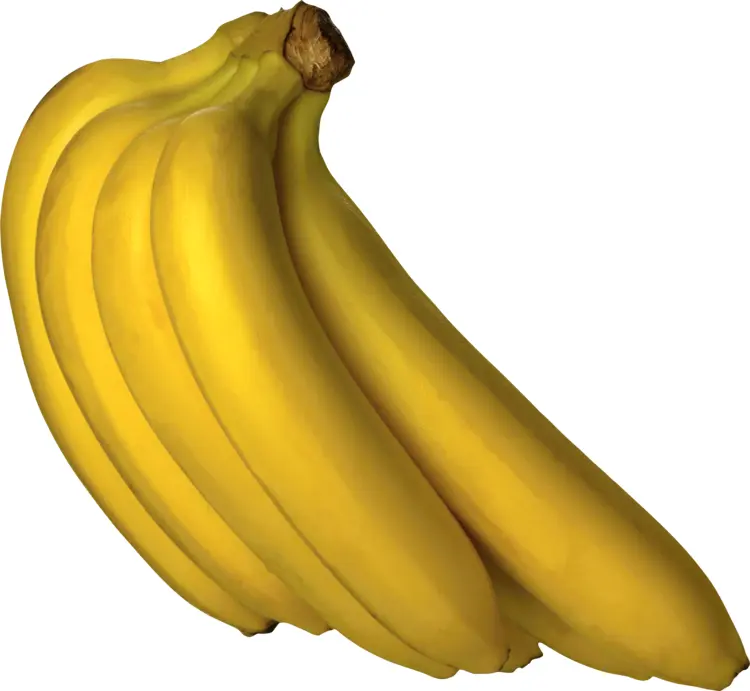 Fresh Bunch of Bananas