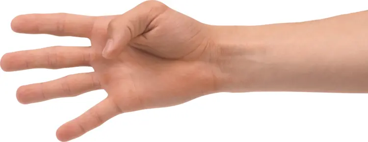 Hand with Fingers Curled