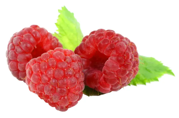 Fresh Red Raspberries with Leaf