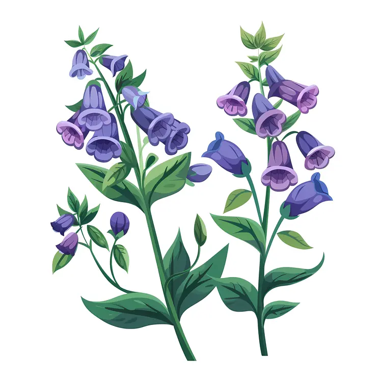 Purple Flowers Illustration