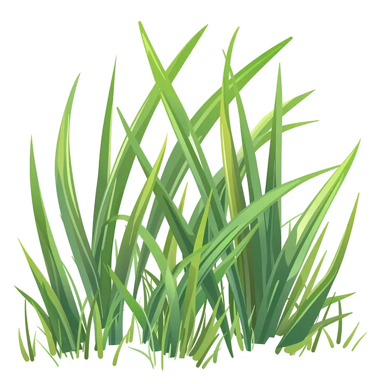 Green Grass Plant Illustration