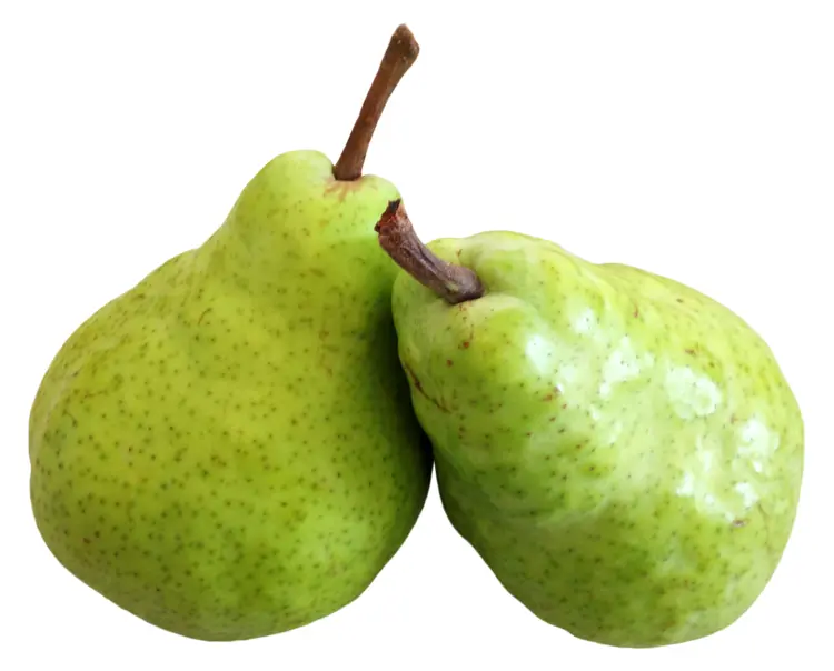 Two Green Pears on Transparent Background