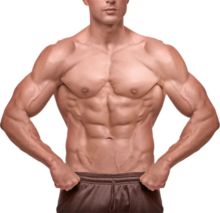 Muscular Man Posing Shirtless