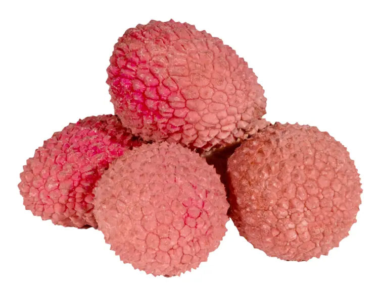 Cluster of Fresh Lychee Fruit