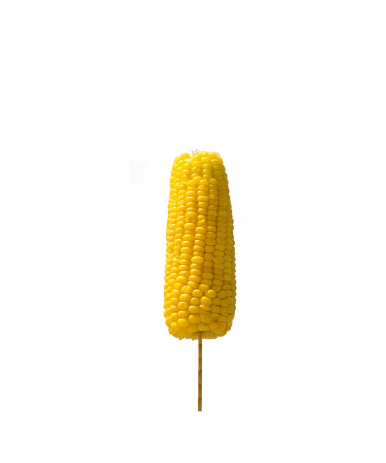 Yellow Corn on the Cob
