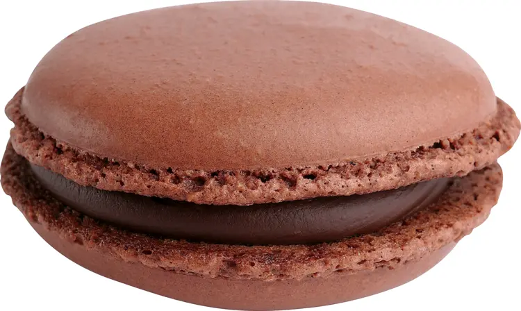 Delicious Chocolate Macaron