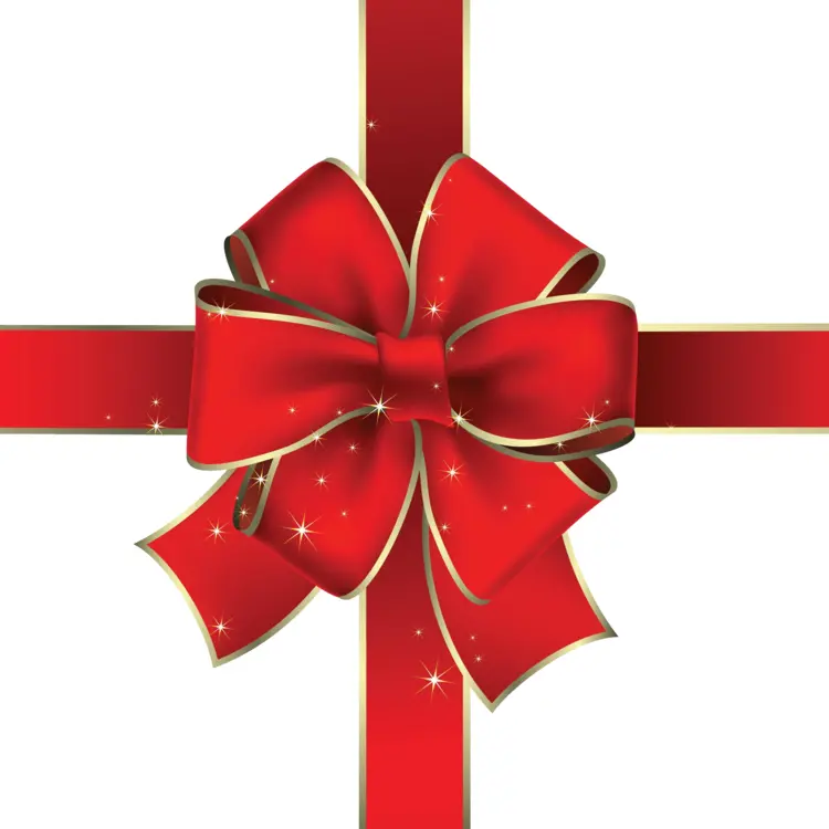 Red Decorative Bow