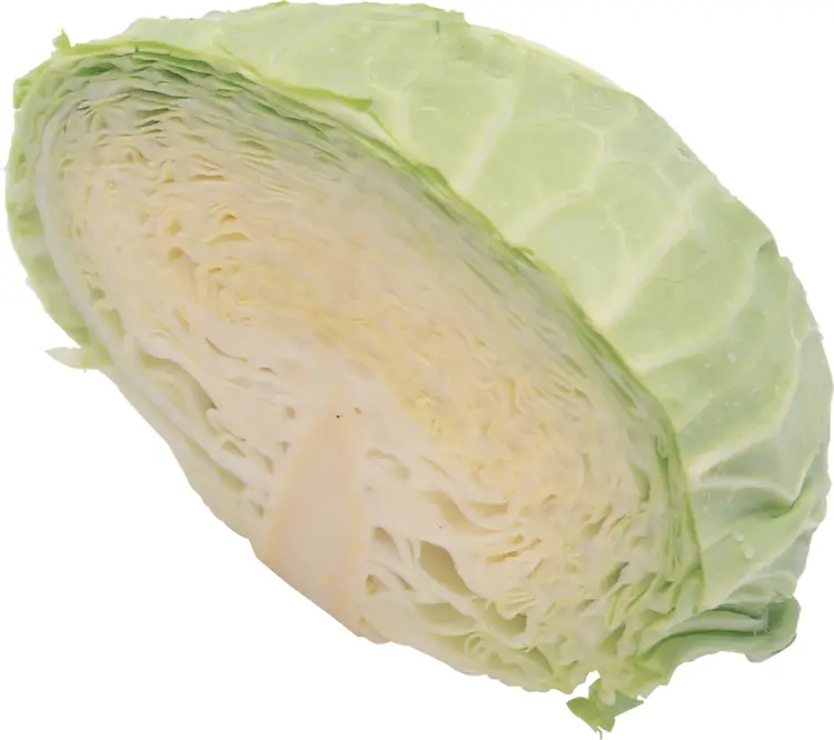 Sliced Fresh Cabbage