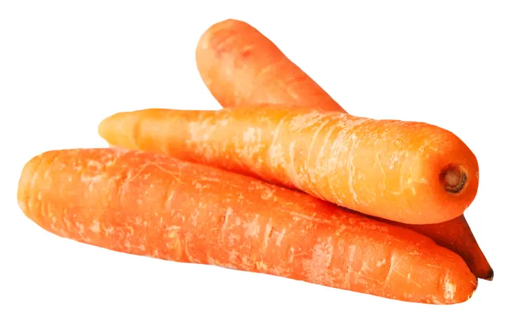 Fresh Orange Carrots