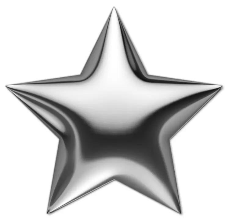 Shiny Silver Star Decoration