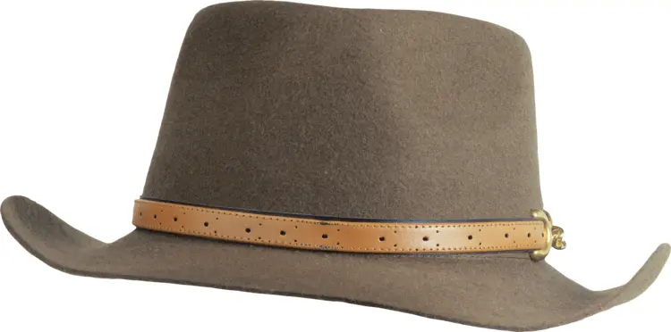 Brown Hat with Leather Band