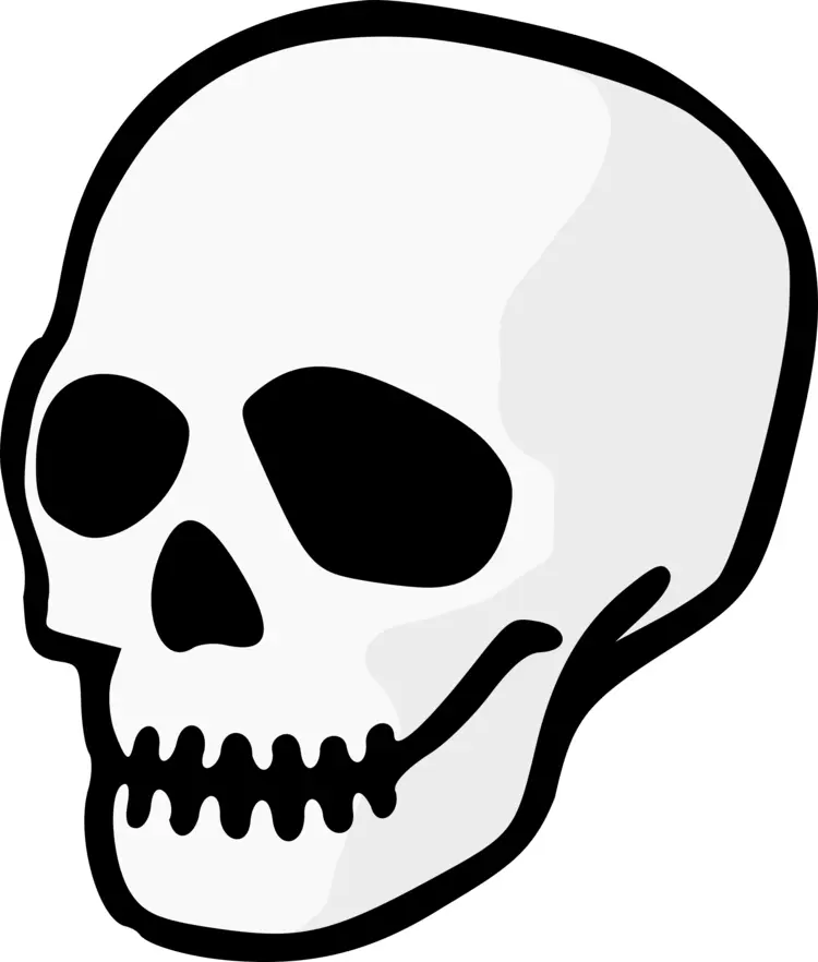 White Skull Symbol