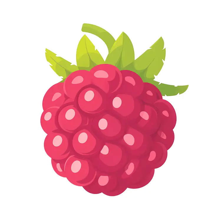 Raspberry Cartoon on White Background