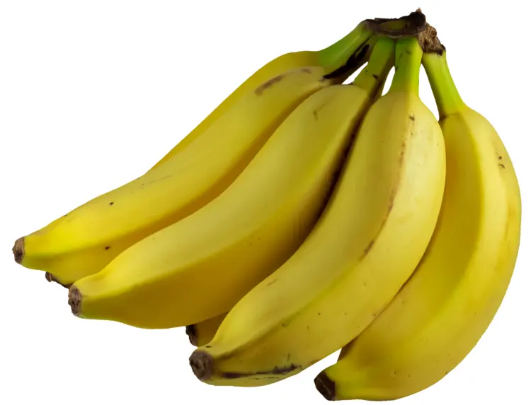 Bunch of Yellow Bananas