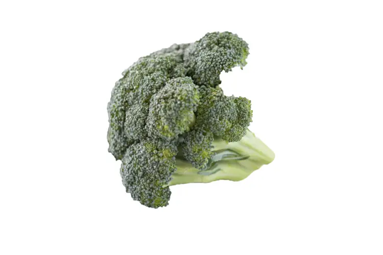Fresh Green Broccoli