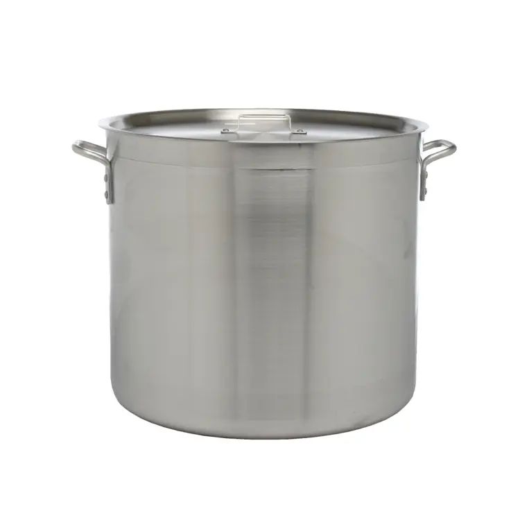 Large Stainless Steel Pot for Cooking