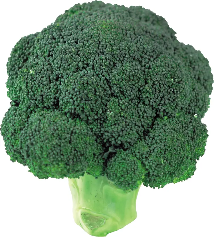 Single Fresh Broccoli