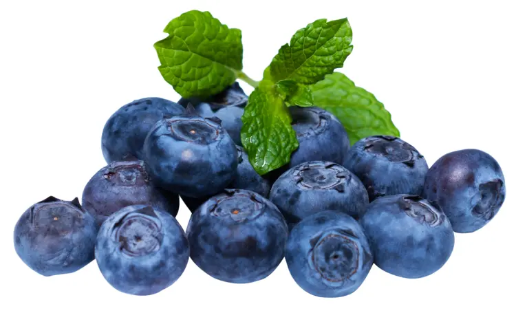 Fresh Blueberries with Leaves