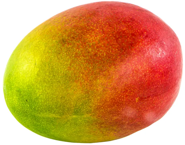 Colorful Mango