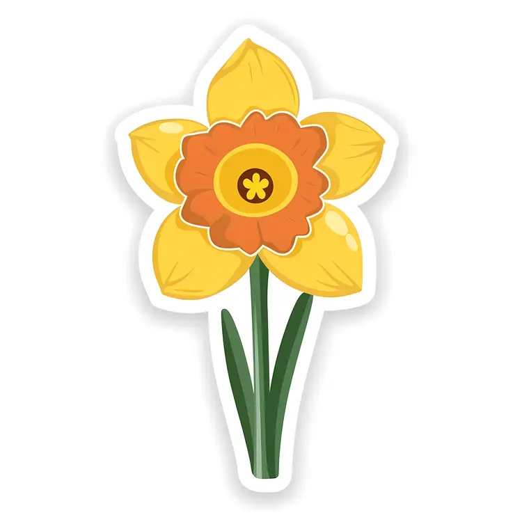 Simple Daffodil Drawing