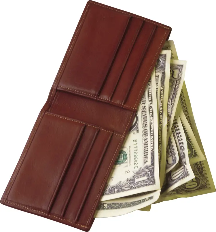 Brown Wallet with Cash