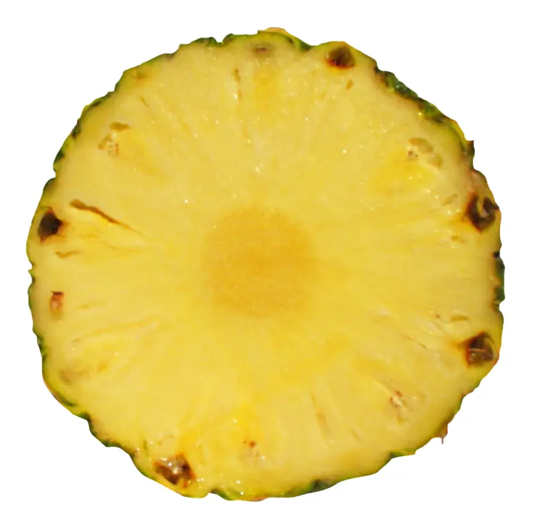 Juicy Pineapple Slice