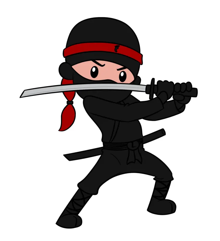 Ninja with Sword in Black Outfit