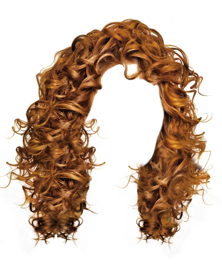 Curly Brown Hair