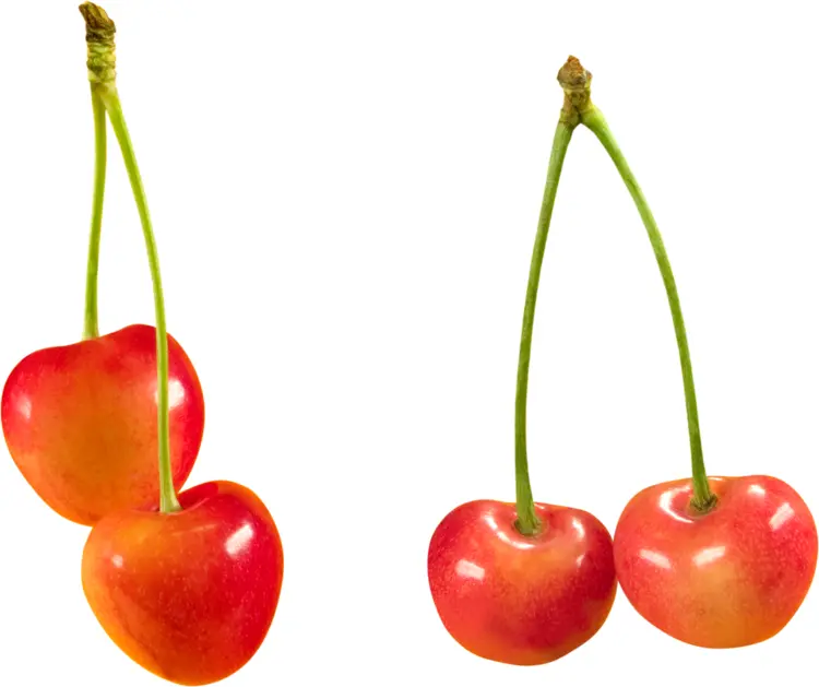 Fresh Red Cherries