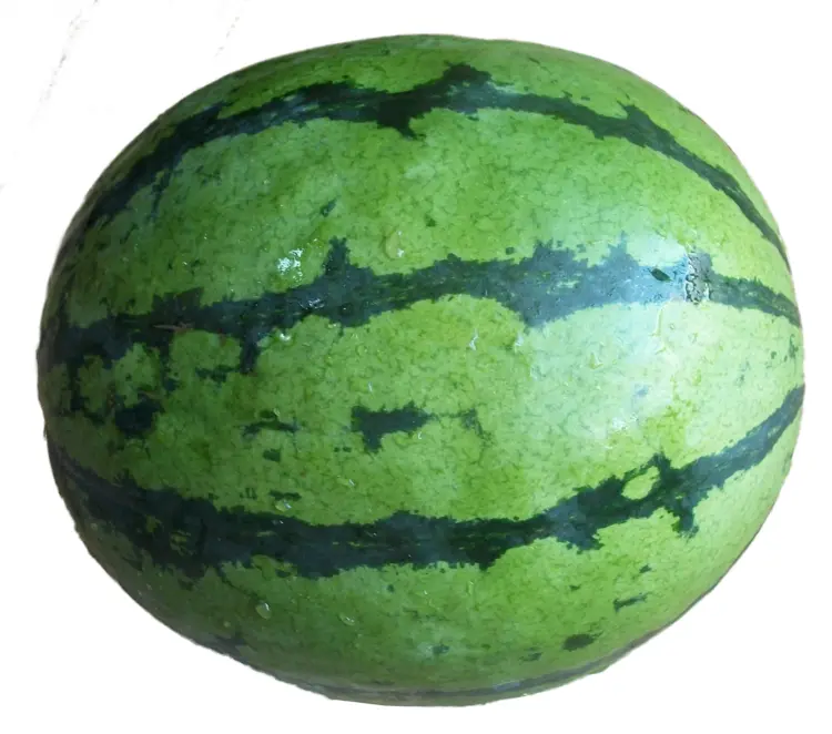 Green Striped Watermelon