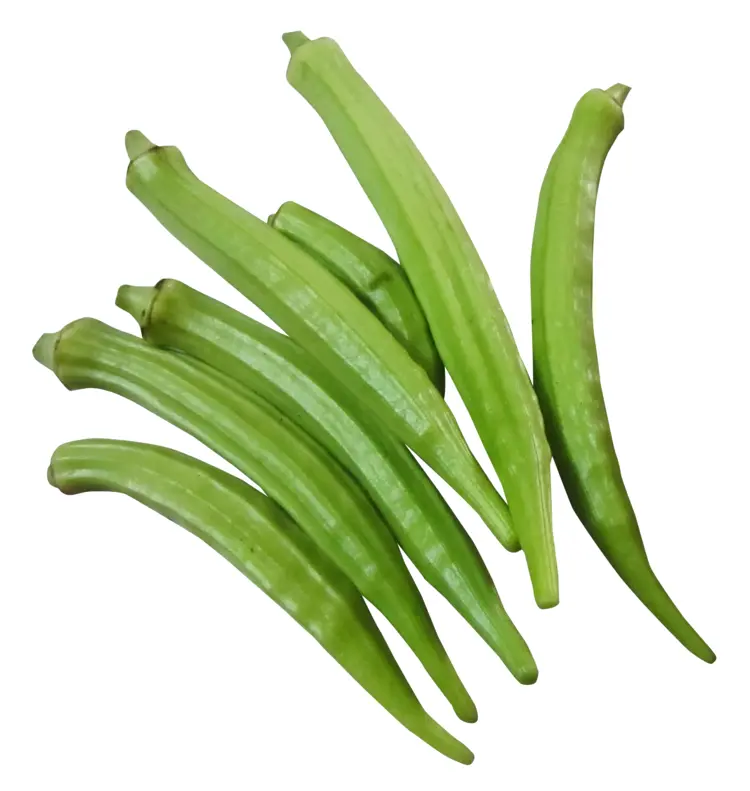 Fresh Green Okra for Healthy Cooking