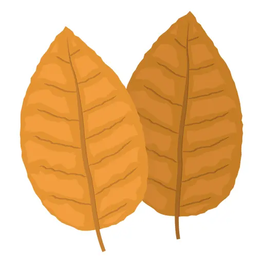 Brown Autumn Leaves Illustration