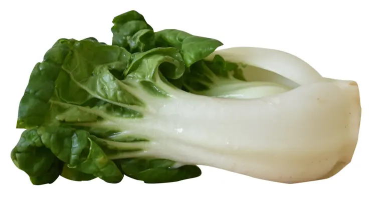 Fresh Green Bok Choy
