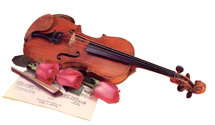 Vintage Violin with Roses