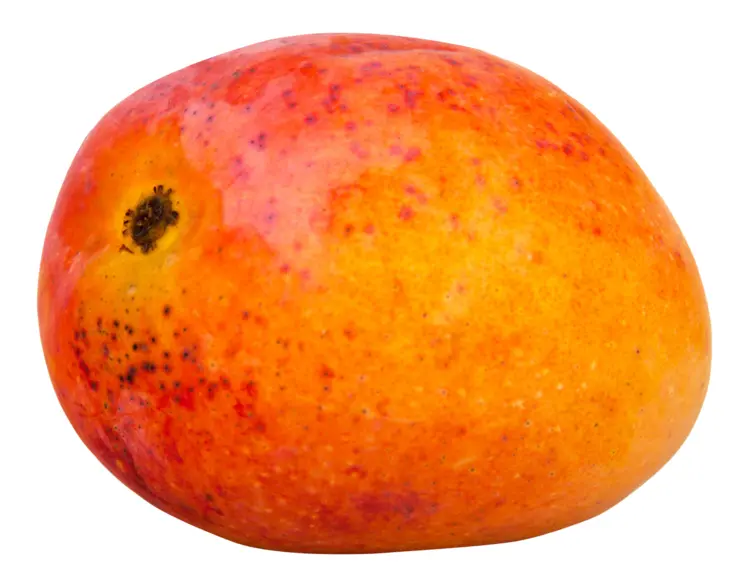 Juicy Tropical Mango