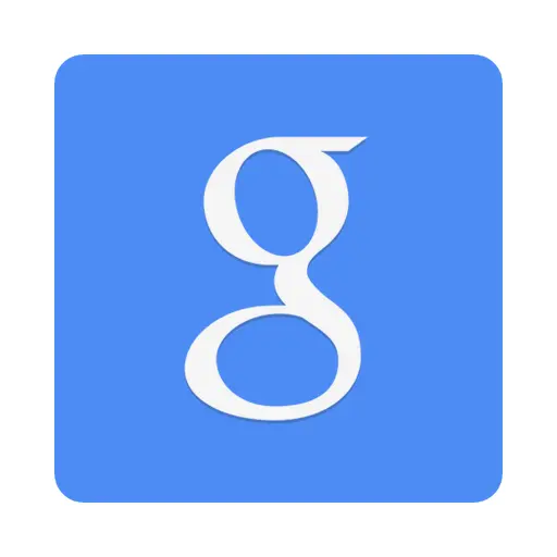 Google Icon