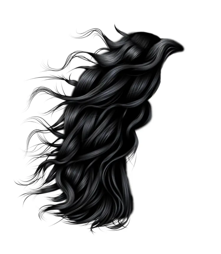 Wavy Black Hair