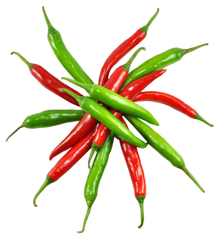 Red and Green Chili Peppers