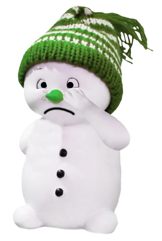 Sad Snowman with Green Hat