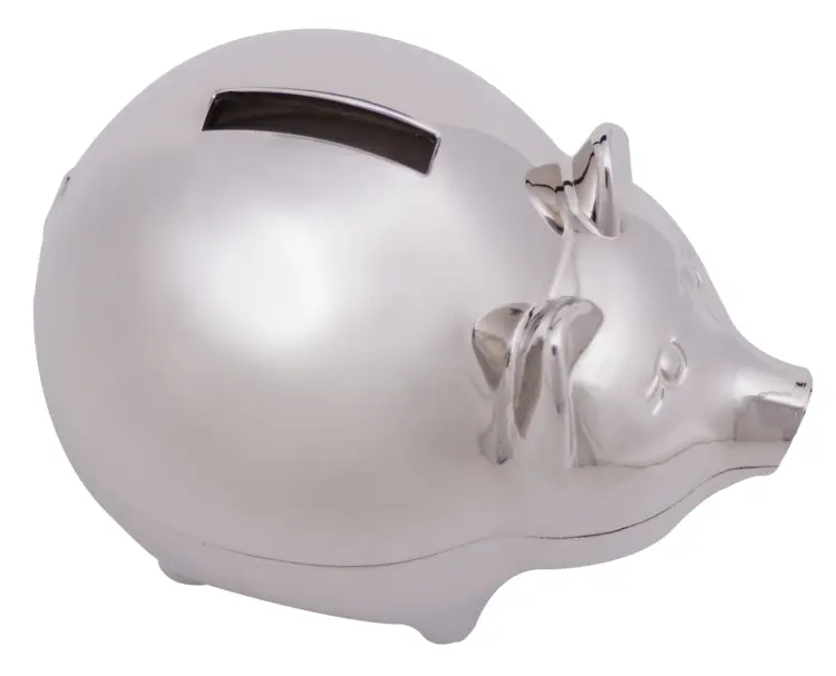 Silver Piggy Bank for Savings