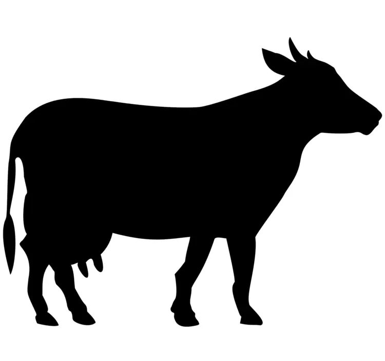 Black Cow Silhouette on Transparent Background