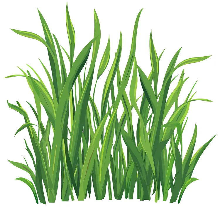 Green Grass Plant Illustration