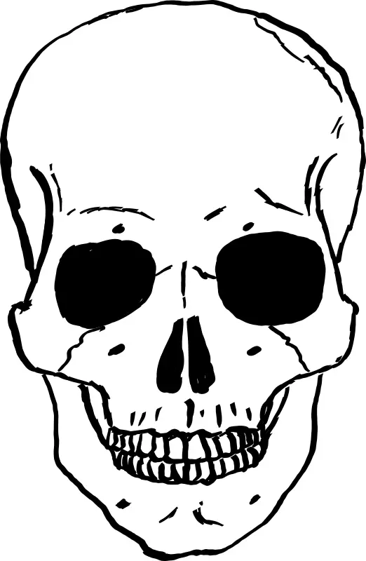 Black and White Skull Symbol