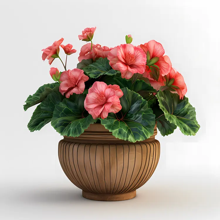 Pink Flowers in a Brown Pot