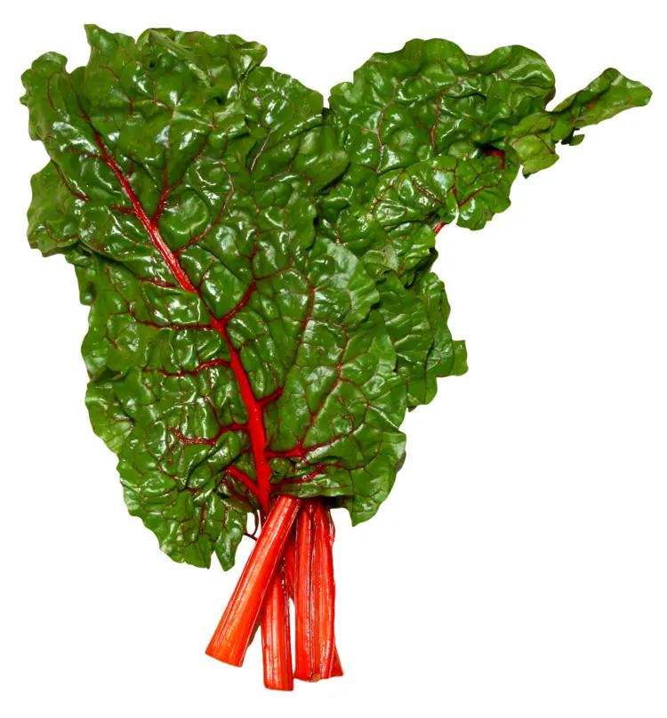 Fresh Green Leafy Vegetable with Red Stem