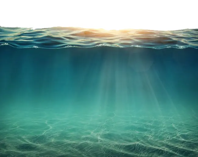 Serene Underwater Scene