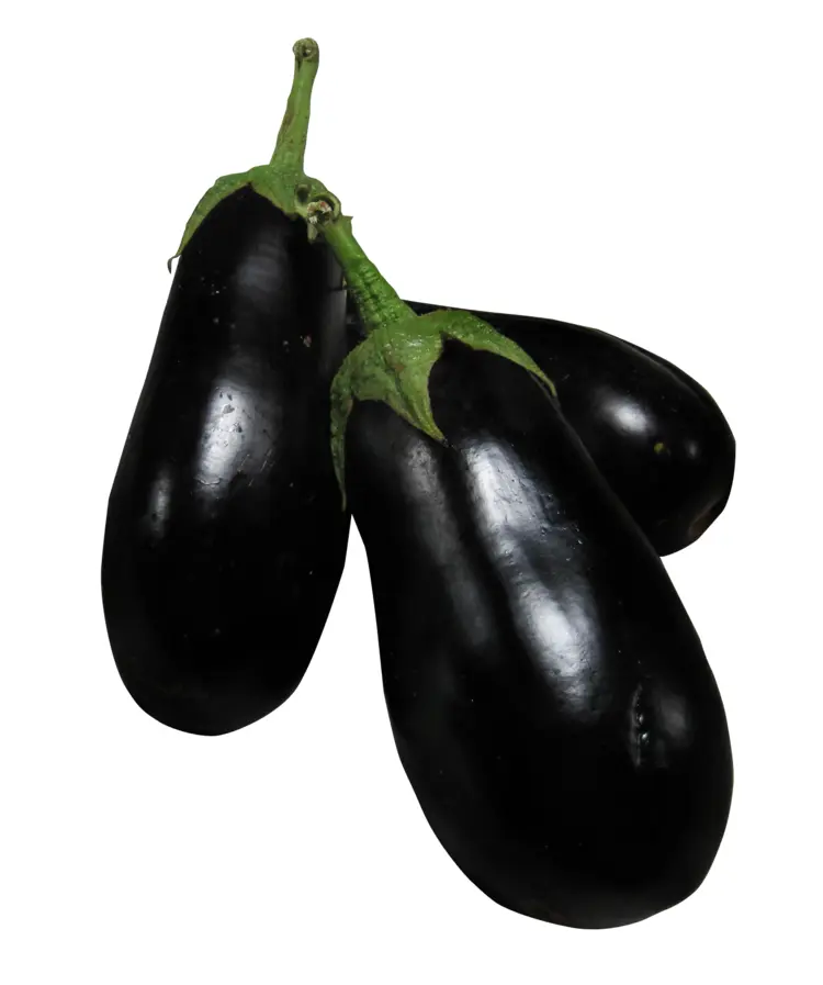 Fresh Purple Eggplants