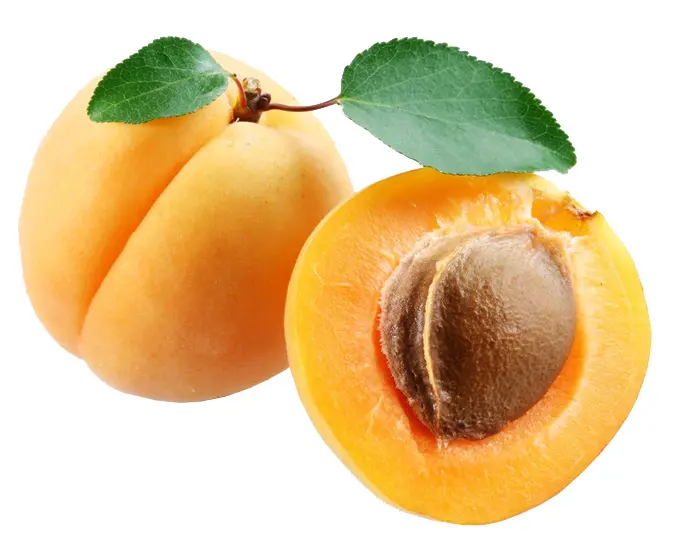 Fresh Apricots with Leaves and Seed